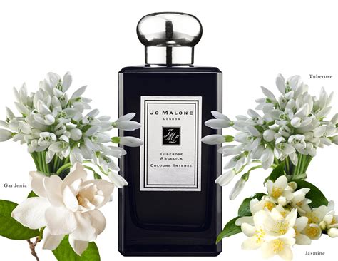 angelica perfume|jo malone tuberose angelica perfume.